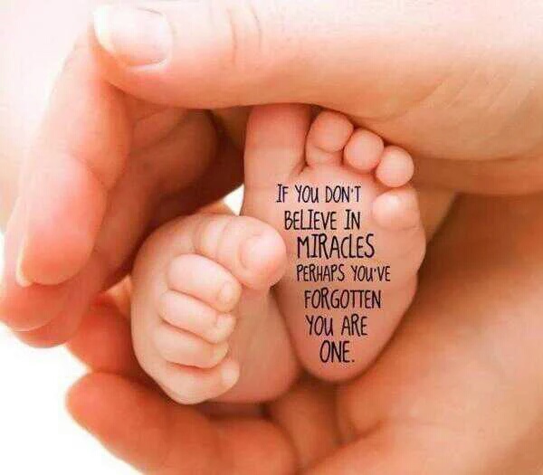 Miracles 13162536 10206197095194106 743223969 n