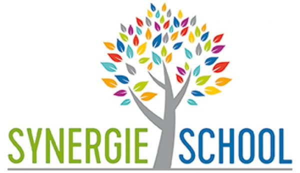 You Tube: De Synergieschool uit Roermond combineert speciaal en regulier basisonderwijs, elk talent telt!