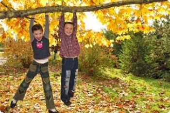 Steeds meer kinderen spelen amper buiten, een lijst van bezigheden die elk kind gedaan zou moeten hebben voor zijn twaalfde